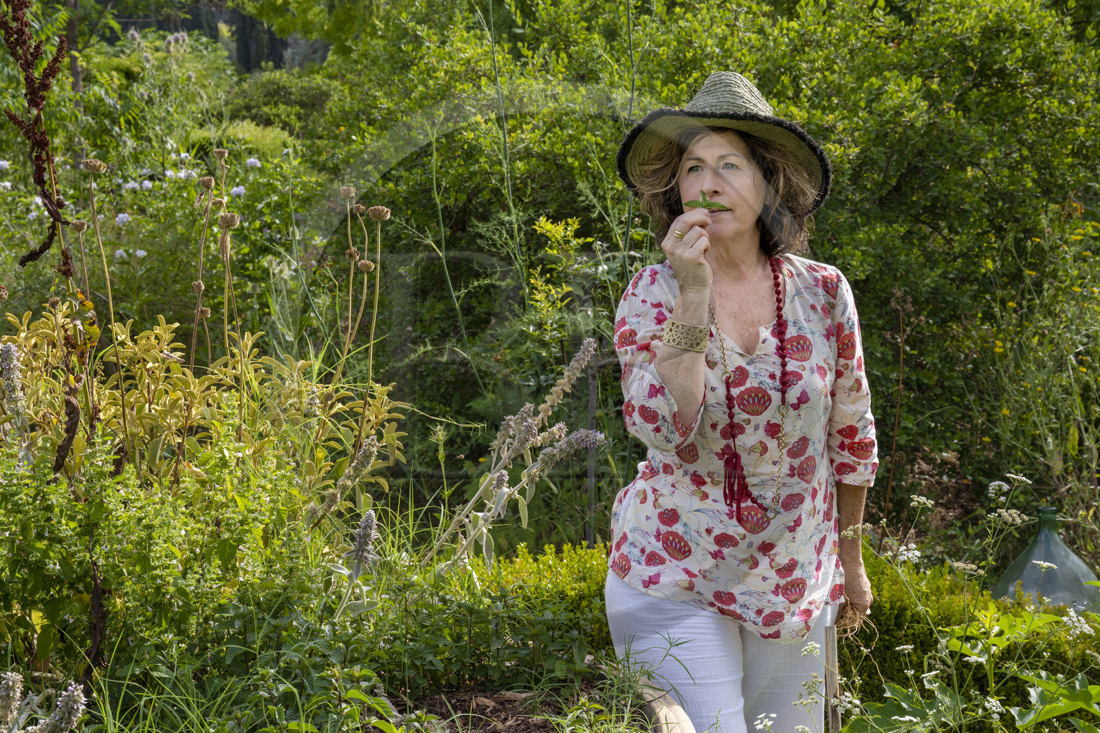 France, Alpes-Maritimes (06), Mouans-Sartoux, Jardins du Musée International de la Parfumerie​ (MIP), Corinne Marie- Tosello, une Nez designer d’ateliers olfactifs, sent une menthe bergamote