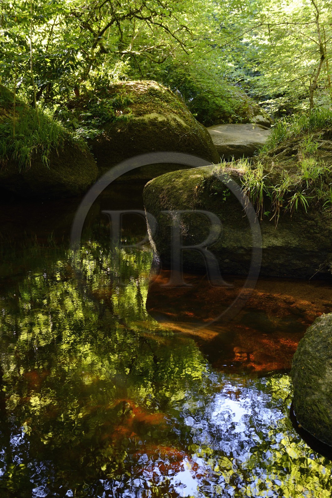France, Finistere, Parc Naturel Regional d'Armorique (Armorique Natural Regional Park), Huelgoat, granitic chaos of the Huelgoat forest, the forest reflected in the water of the Argent River, which sometimes may become blood red