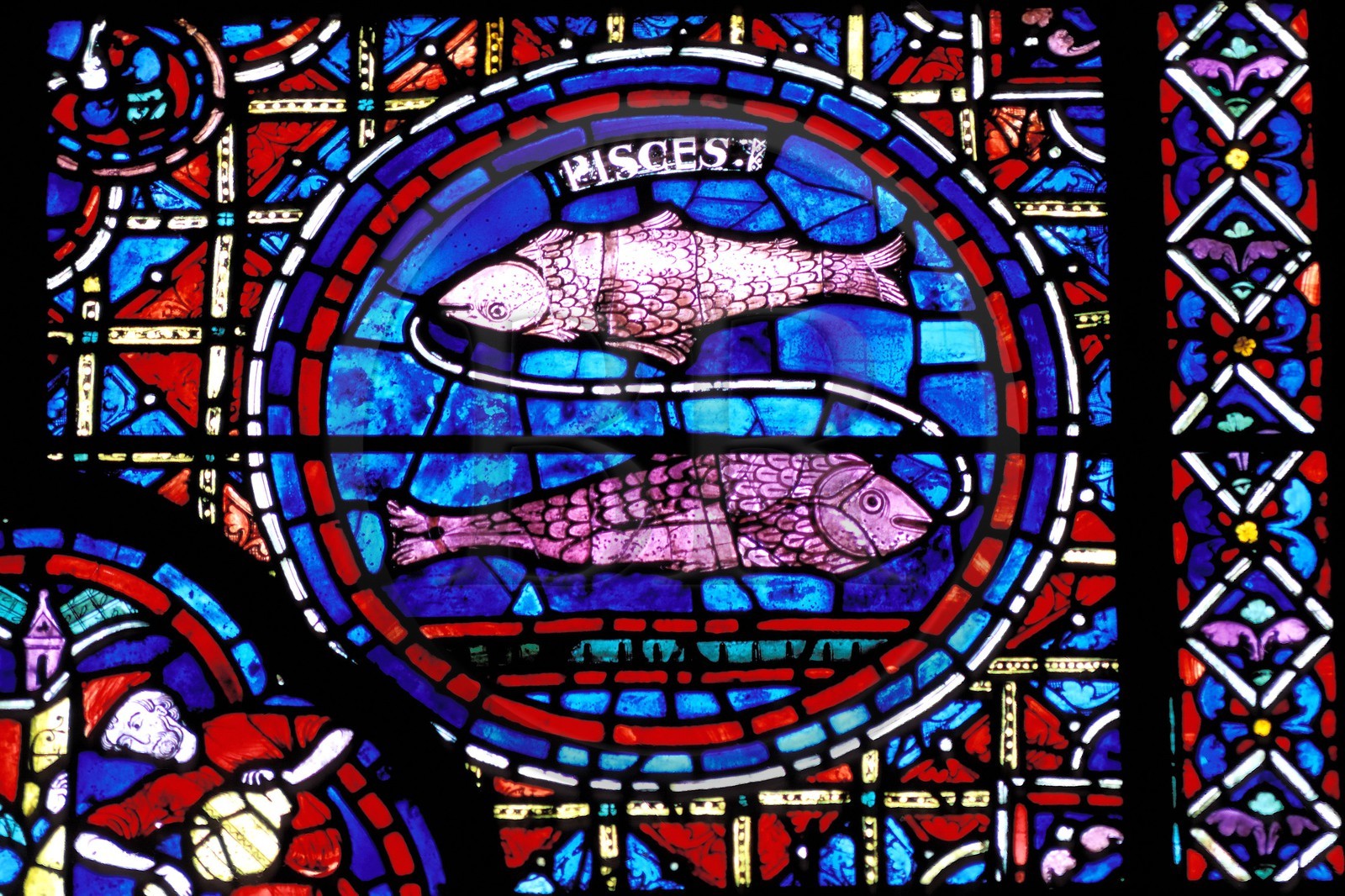 France, Eure et Loir, Chartres, Notre Dame de Chartres Cathedral listed as World Heritage by UNESCO, stained glass window with Pisces zodiac sign