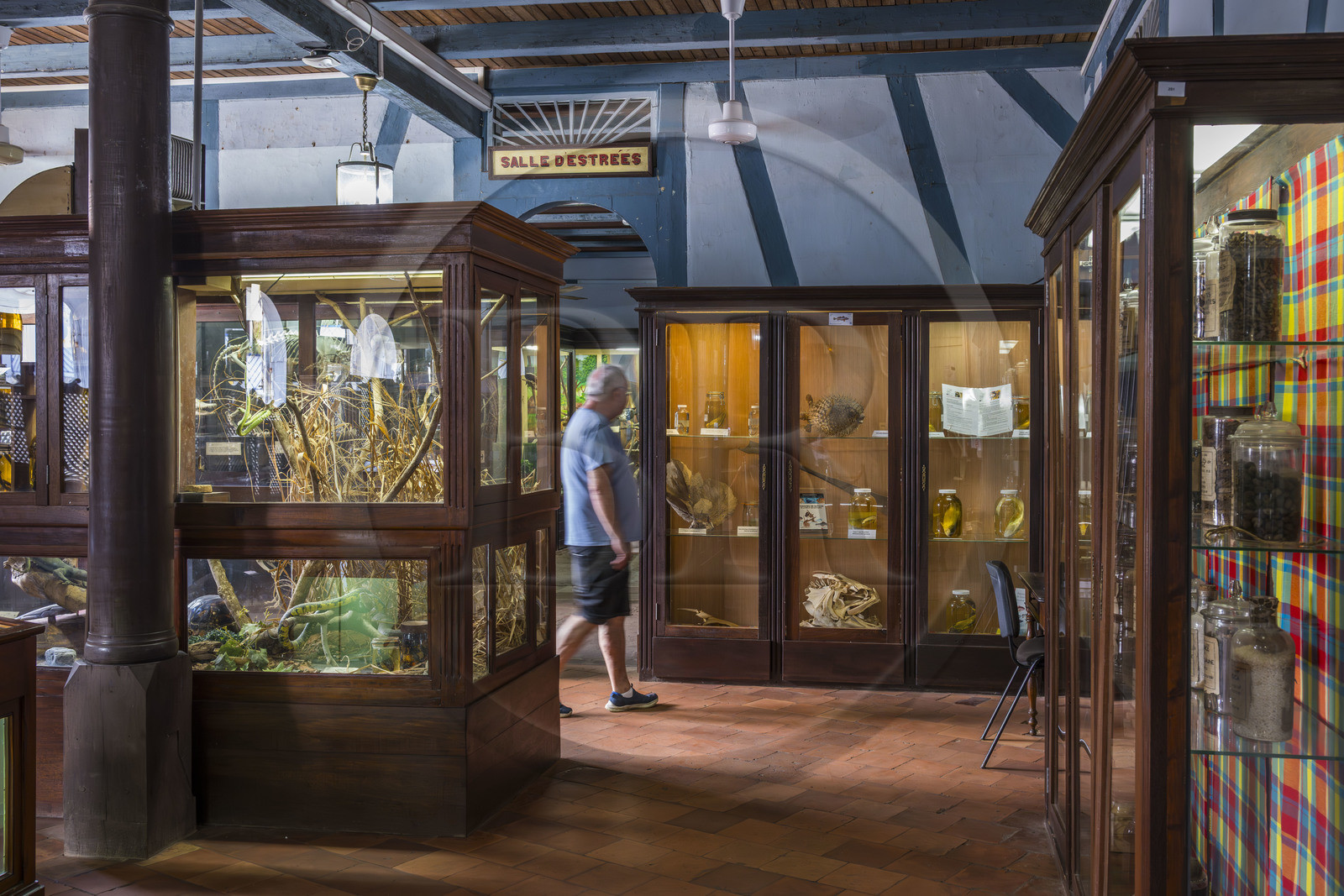 France, Guyane, Cayenne, musée départemental Alexandre-Franconie