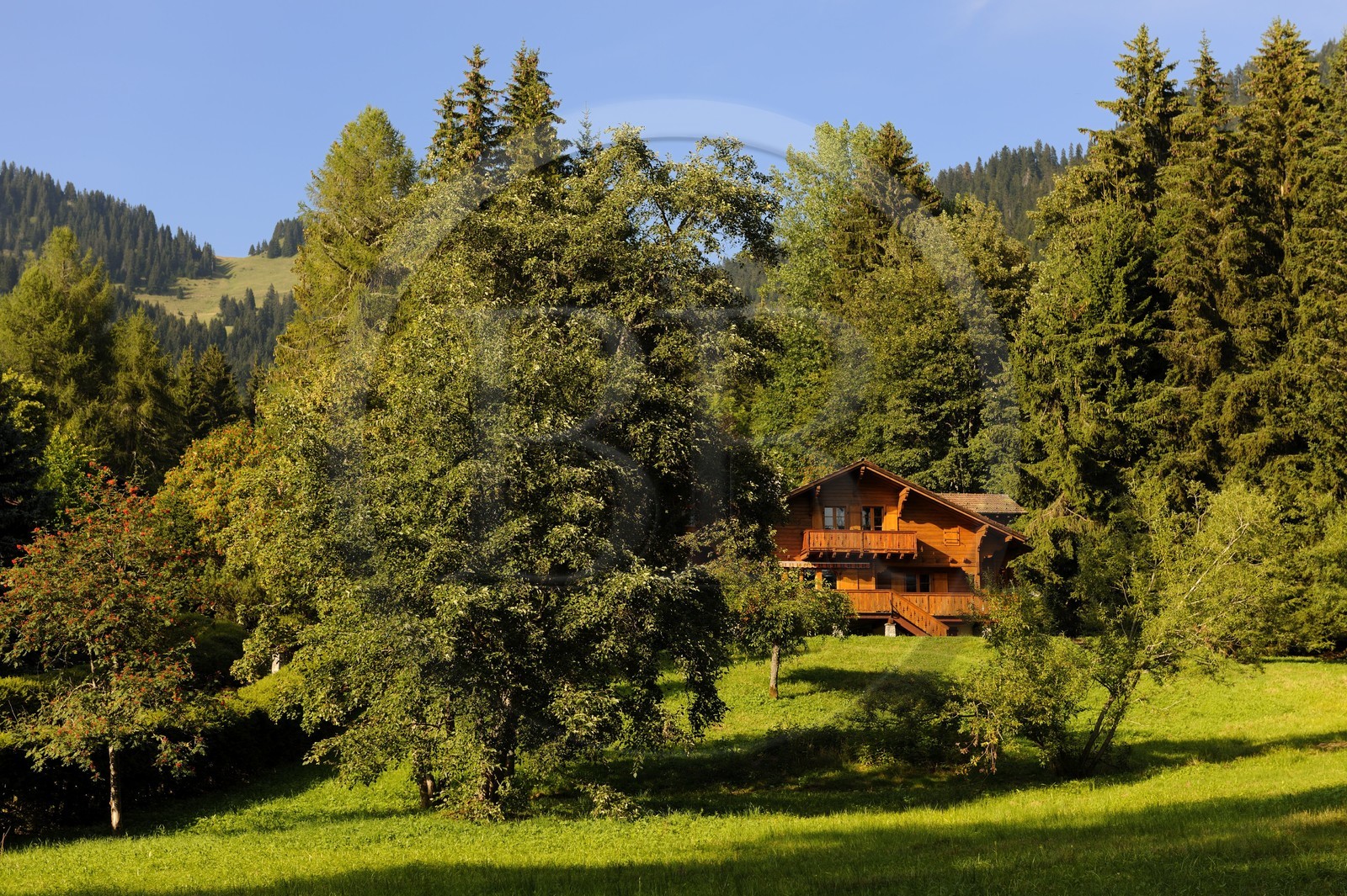Switzerland, Canton of Vaud, Villars sur Ollon