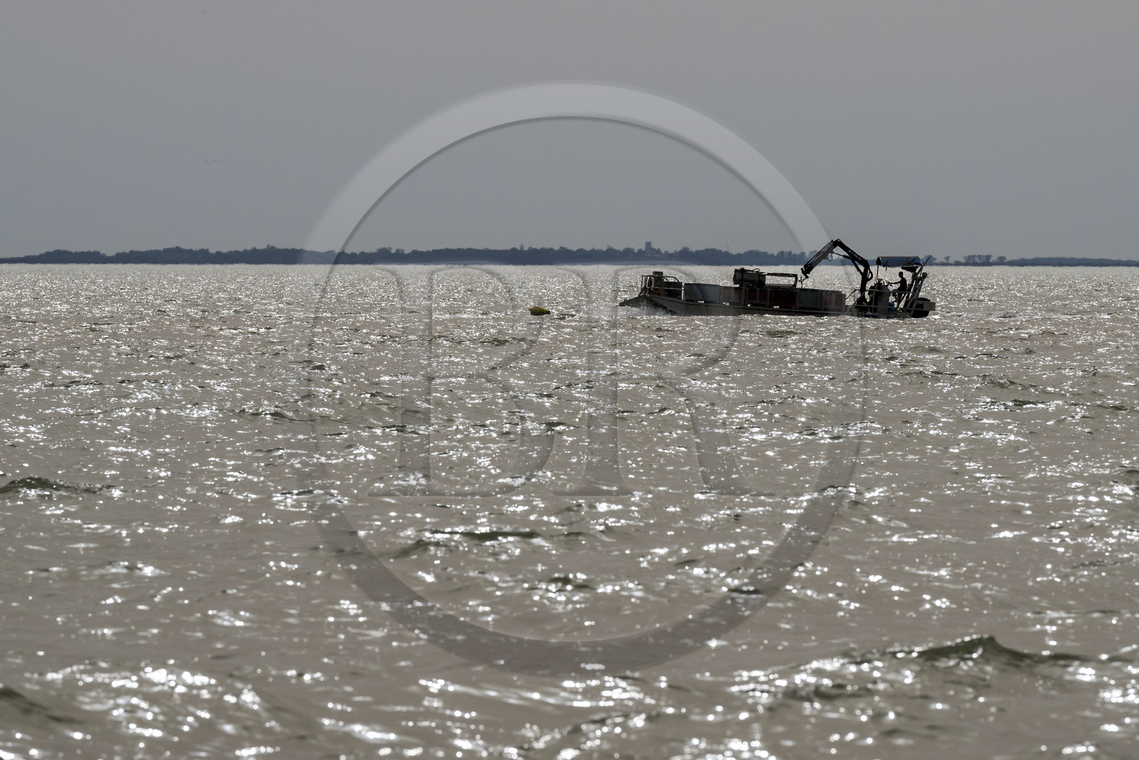 France, Charente-Maritime (17), Ile d'Oléron, Dolus-d’Oléron, bateau ostreicole à fond plat dans le Pertuis d'Antioche