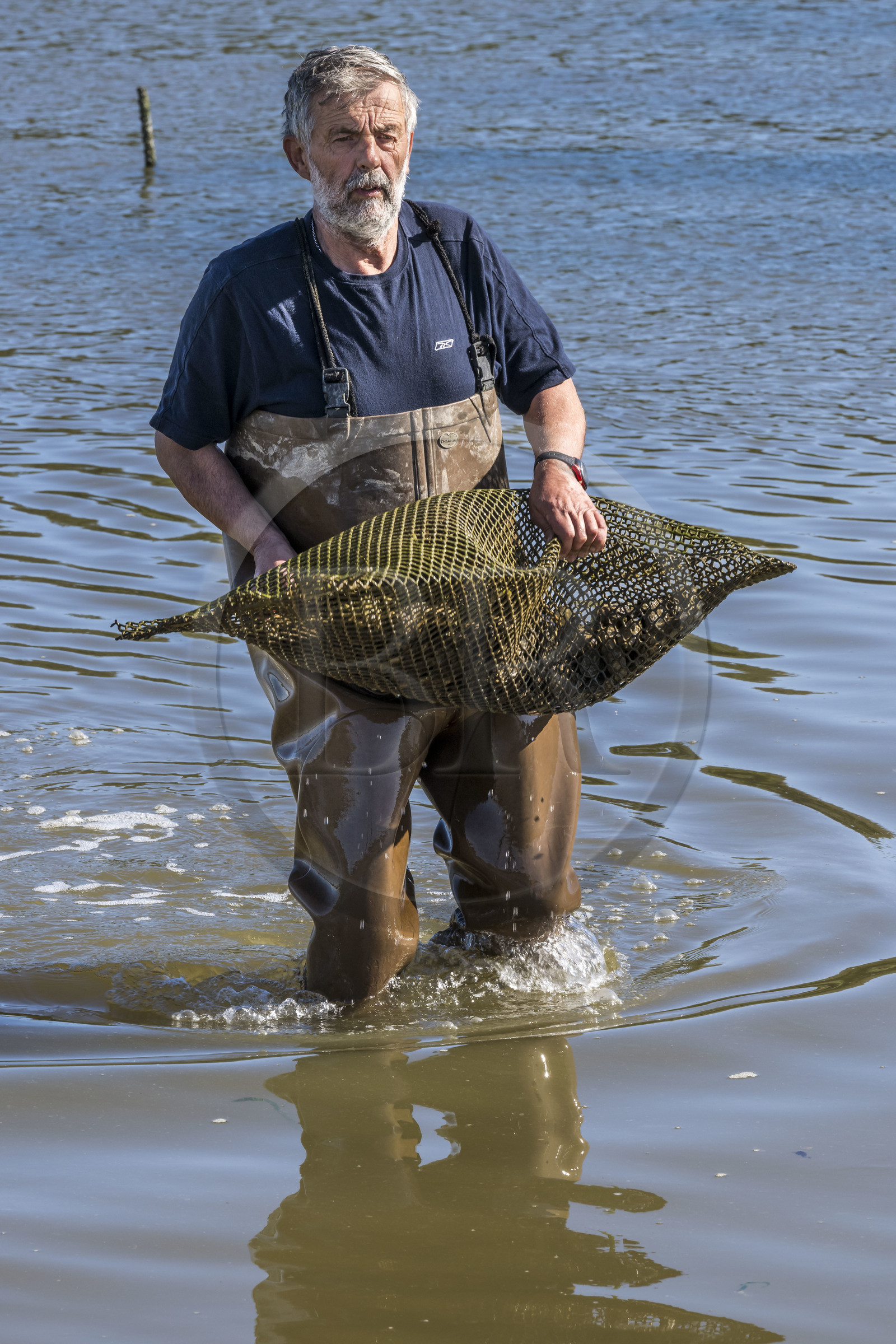 France, Vendée (85), Talmont-Saint-Hilaire, port du village d'ostréiculteurs de la Guittière dans l'estuaire du Payré, l'ostréiculteur Patrick Guyau