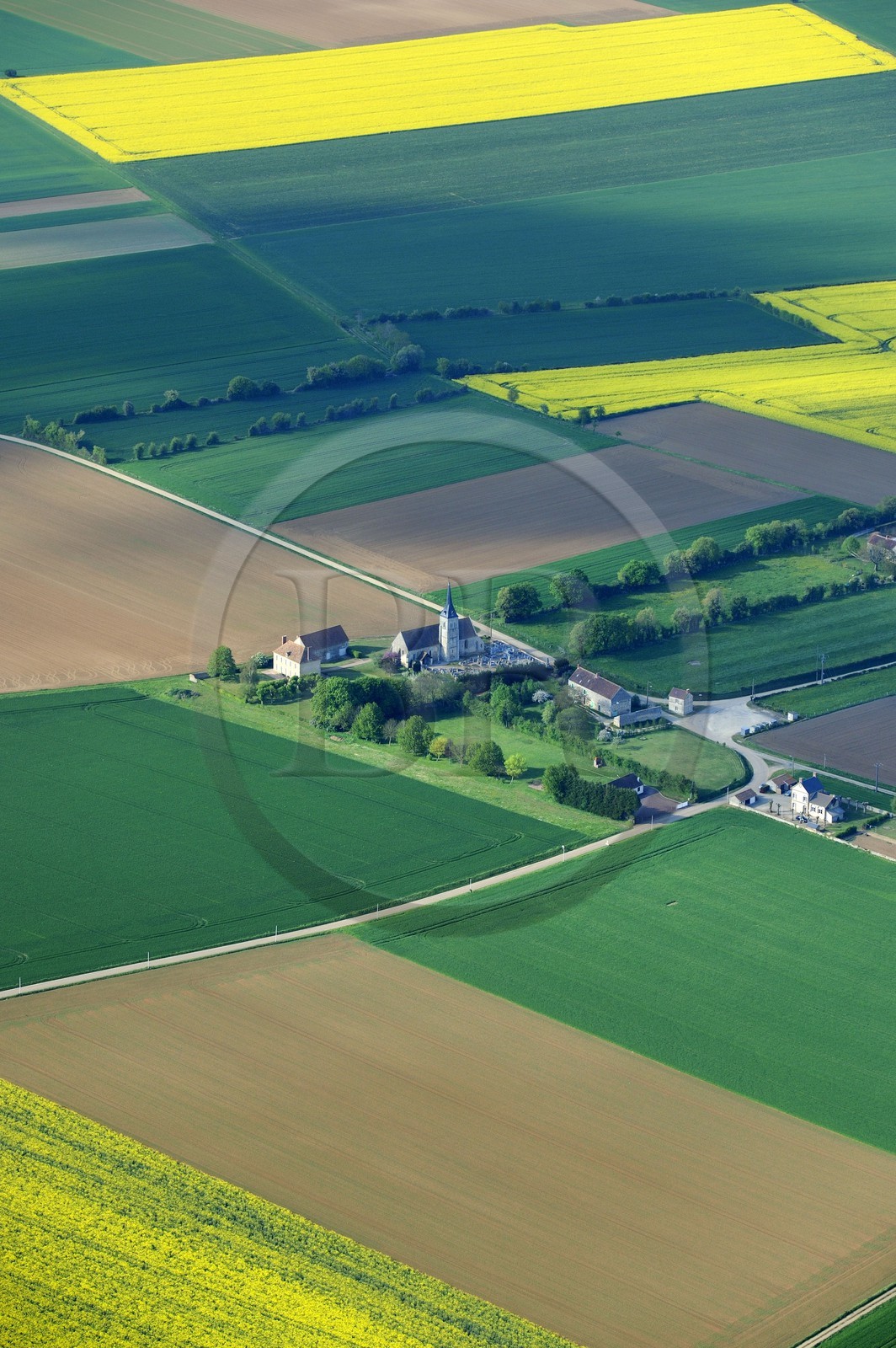 France, Eure, field of rape in blossom (aerial view)