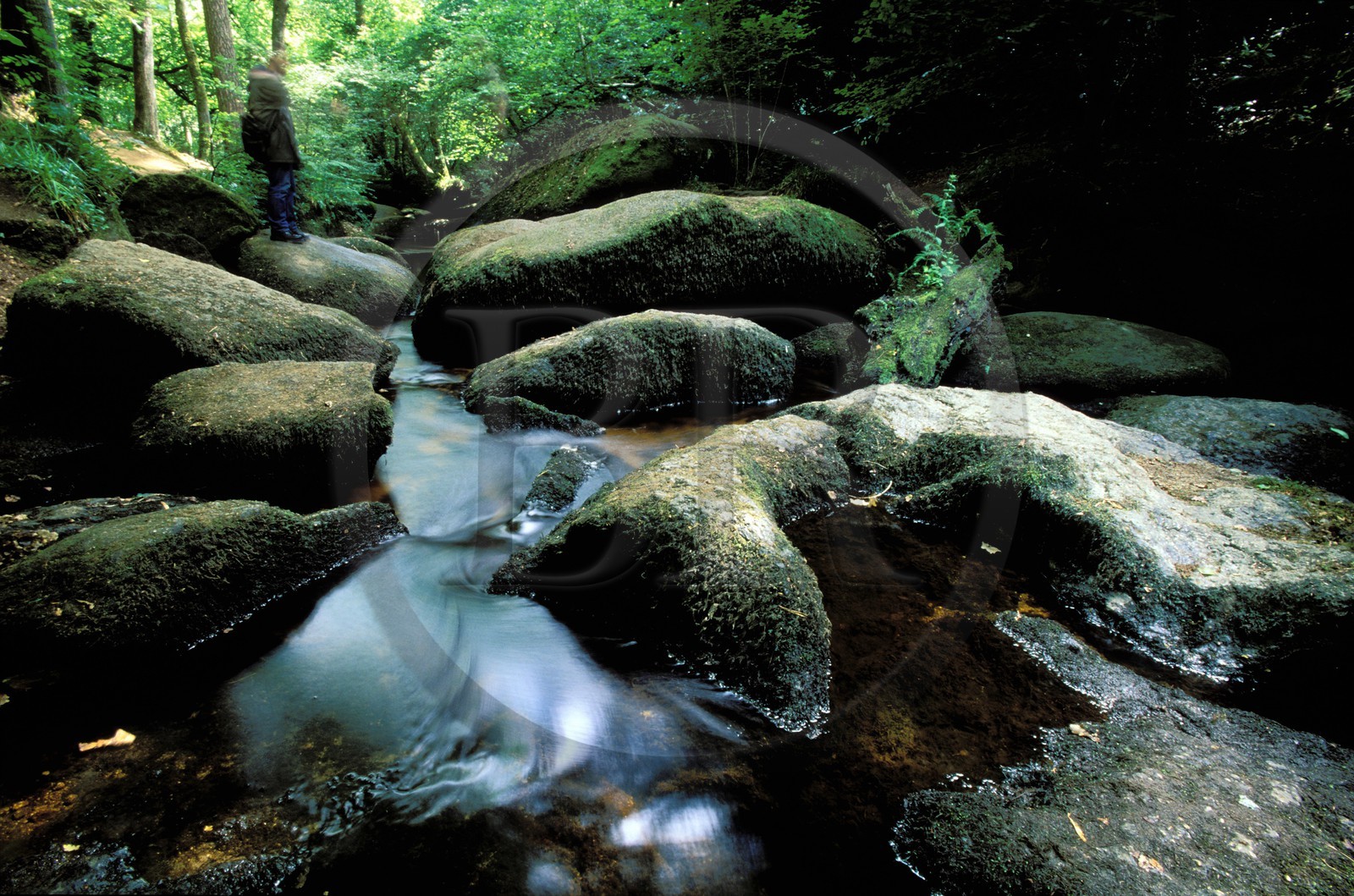 France, Finistere, Huelgoat, rocky chaos, the Silver river in the forest