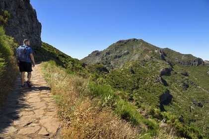 Portugal, Ile de Madère, randonnée sur le Vereda do Areeiro entre les monts Pico Ruivo (1862m) et Pico Arieiro (1817m), randonneur sur le sentier qui monte depuis Achada do Teixeira et le Pico Ruivo en arrière plan