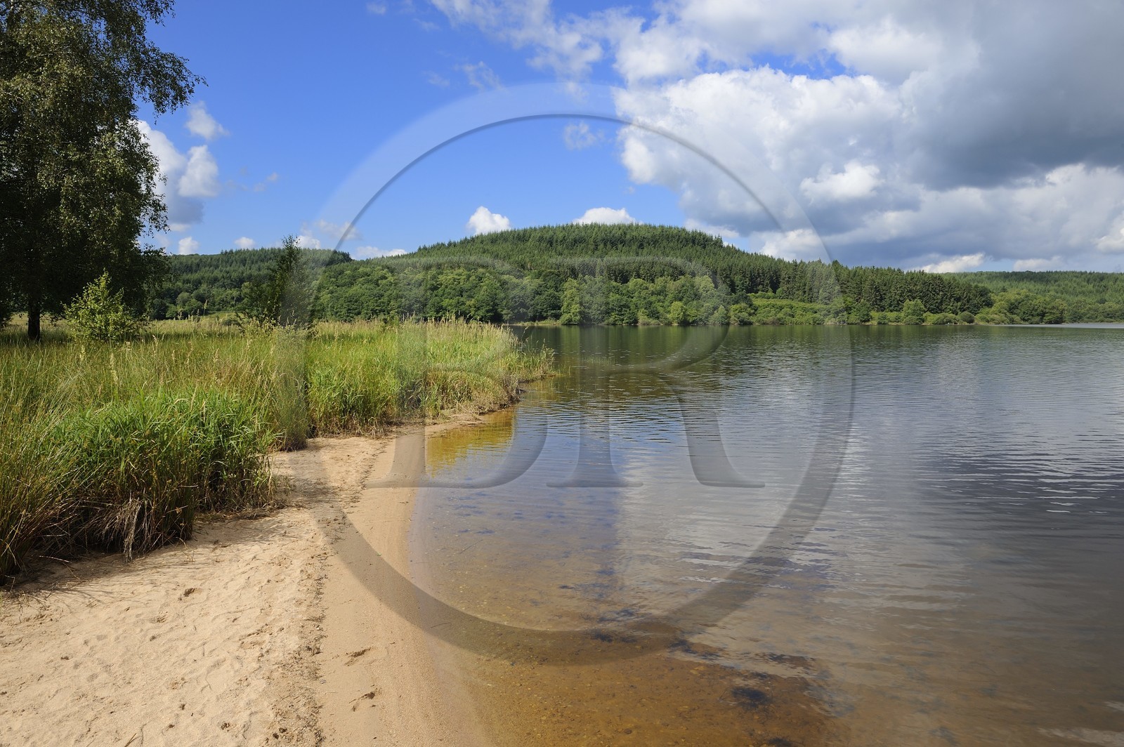 France, Nièvre (58), lac de Saint-Agnan