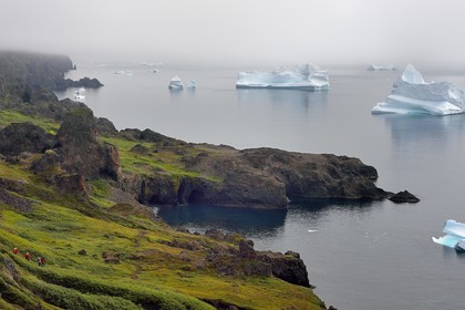 Greenland, west coast, Disko Island, Qeqertarsuaq, hikers on the coast and icebergs in the mist in the background