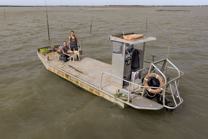 France, Charente-Maritime (17), Ile d'Oléron, Dolus-d’Oléron, les parcs du bassin de Marennes-Oléron dans le Pertuis d'Antioche, Nadia Quillet et son mari Eric récupèrent des poches de crassostrea gigas dans leurs parcs à huîtres à marée descendante (vue aérienne)