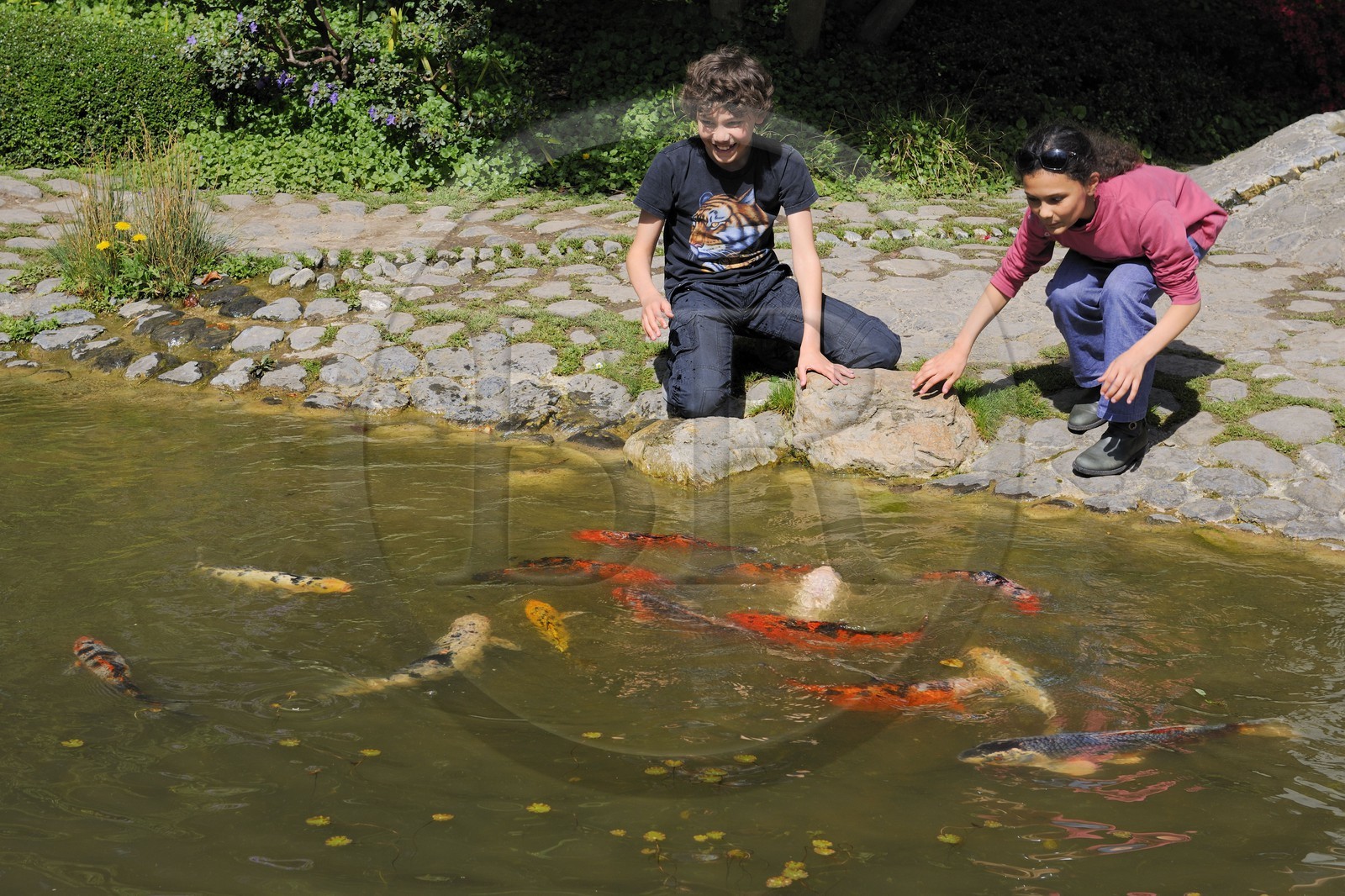 France, Hauts-de-Seine (92), Boulogne-Billancourt, le jardin japonais du musée départemental Albert-Kahn