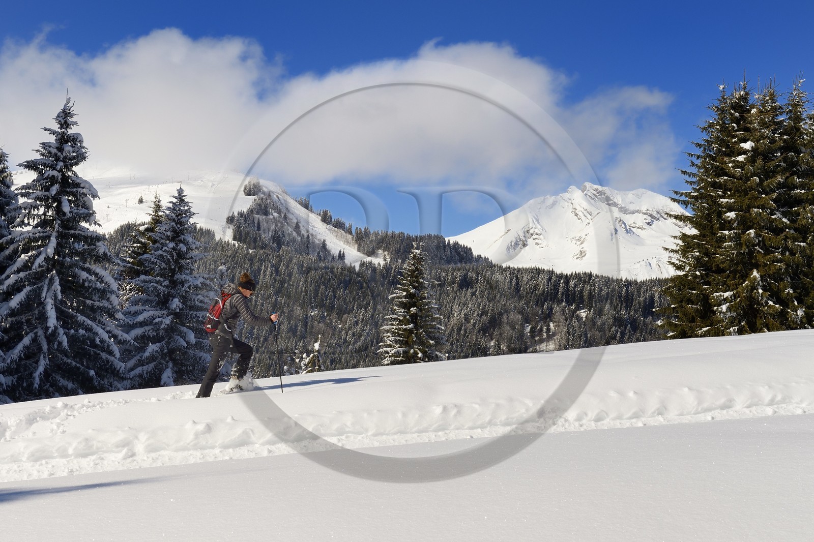 France, Haute-Savoie (74), Morzine, la vallée d'Aulps, massif du Chablais, domaine skiable des Portes du Soleil,