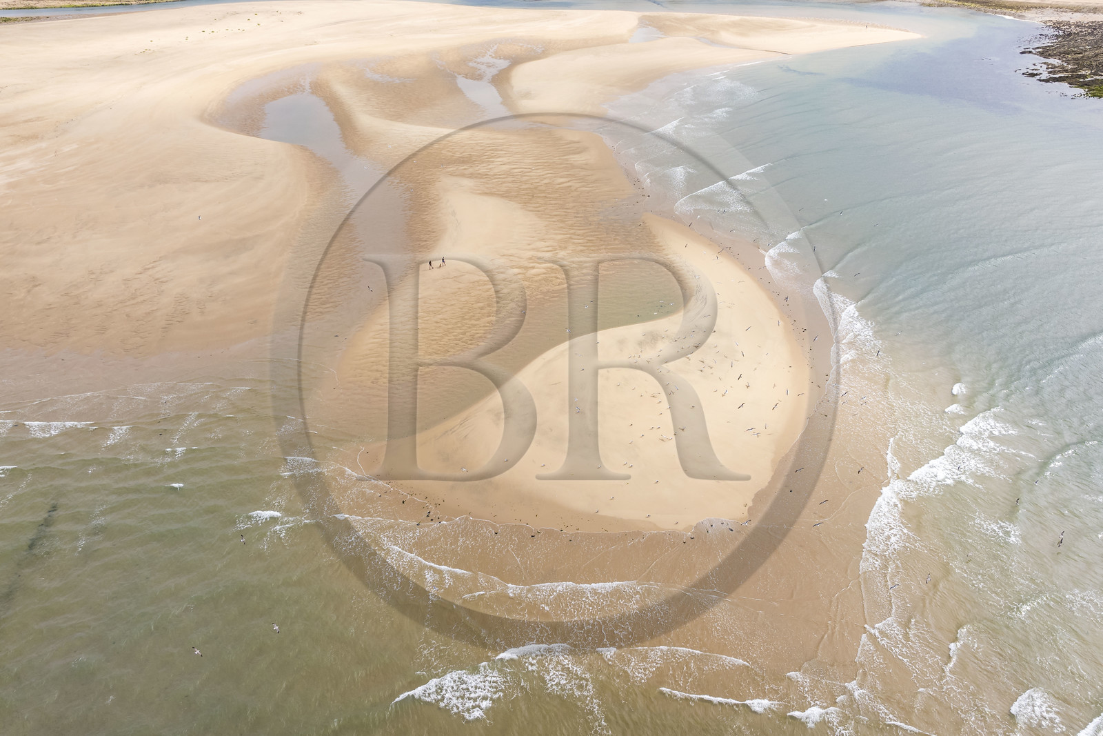 France, Vendée (85), Talmont-Saint-Hilaire, la Pointe du Payré, promeneurs et mouettes sur la plage du Veillon et estuaire de la rivière Payré (vue aérienne)
