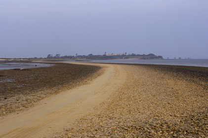 France, Charente-Maritime (17), Ile Madame, la Passe aux Boeufs à marée basse