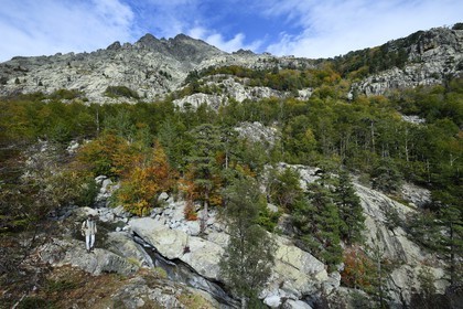 France, Haute Corse, Vivario, hiking on the GR 20, between Onda refuge and Vizzavona, Vizzavona forest, Englishmen cascades, waterfalls group in the Agnone valley under the Monte d'Oro