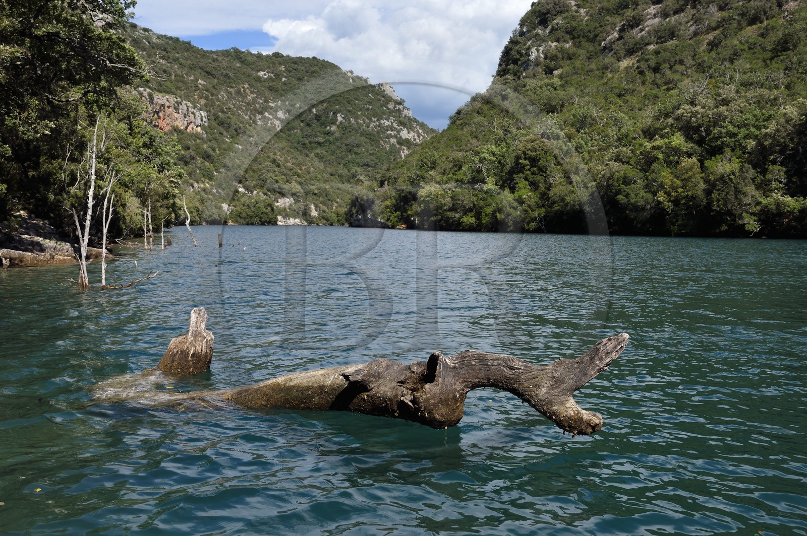 France, Alpes-de-Haute-Provence (04), Parc Naturel Régional du Verdon, Basses Gorges du Verdon en aval du lac de Sainte Croix
