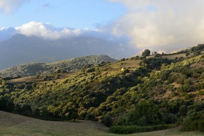 France, Corse-du-Sud (2A), région de Sartène, paysage vers Arbellara