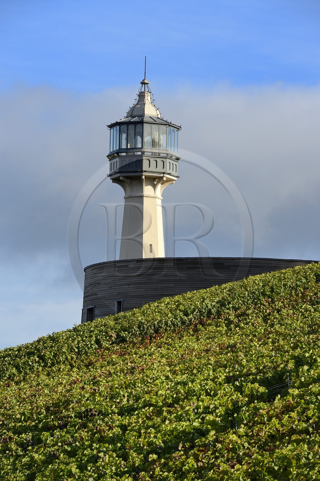 France, Marne (51), parc régional de la Montagne de Reims, Verzenay, vignobles de Champagne et musée du vin