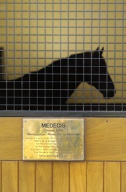 Republic of Ireland, County Kildare, Tully, Irish National Stud, a champion horse in its stall