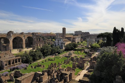 Italie, Latium, Rome, centre historique classé Patrimoine Mondial de l'UNESCO, le forum Romain, la Via Sacra (Voie Sacrée) est la voie romaine qui traversait le Forum Romanum d’Ouest en Est jusqu'au Colisée