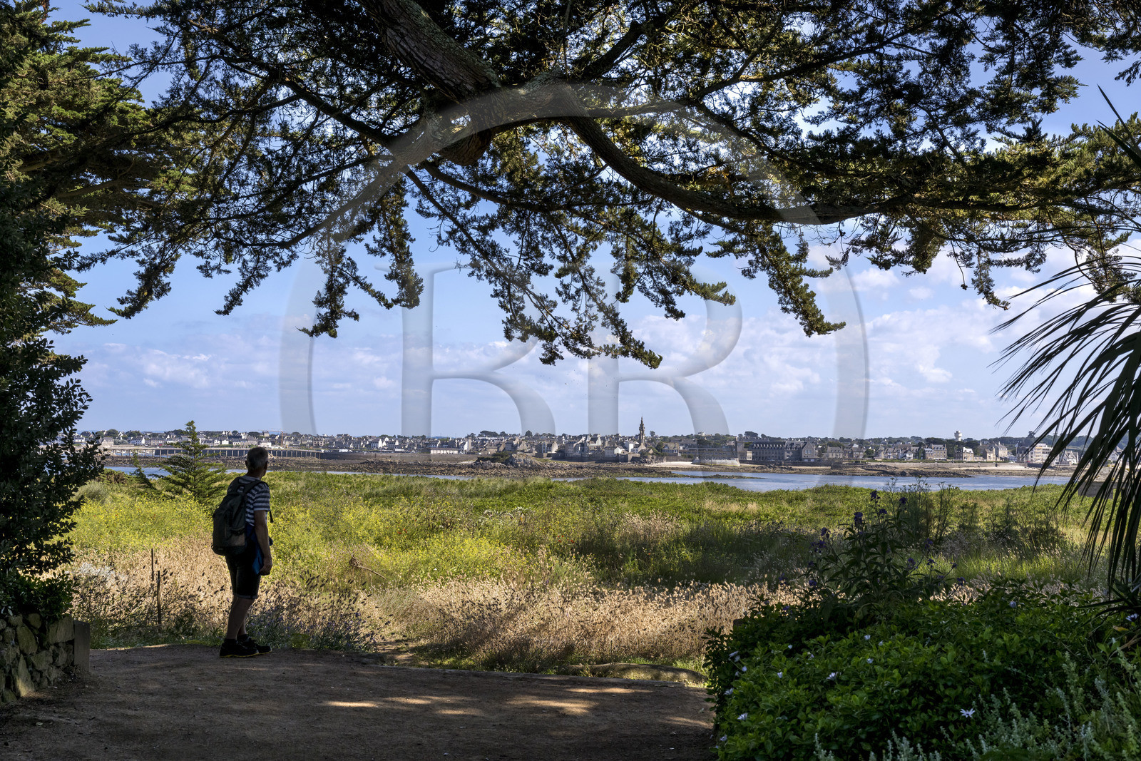 France, Finistère, Ponant Islands, Ile de Batz (Batz Island), Georges Delaselle Garden or colonial garden, Pointe de Penn-Batz and Roscoff in the background