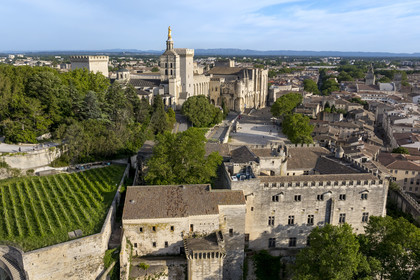 France, Vaucluse (84), Avignon, la cathédrale des Doms et le Palais des Papes classés Patrimoine mondial de l'UNESCO, la vigne du clos du palais des papes et le musée du Petit Palais au premier plan (vue aérienne)