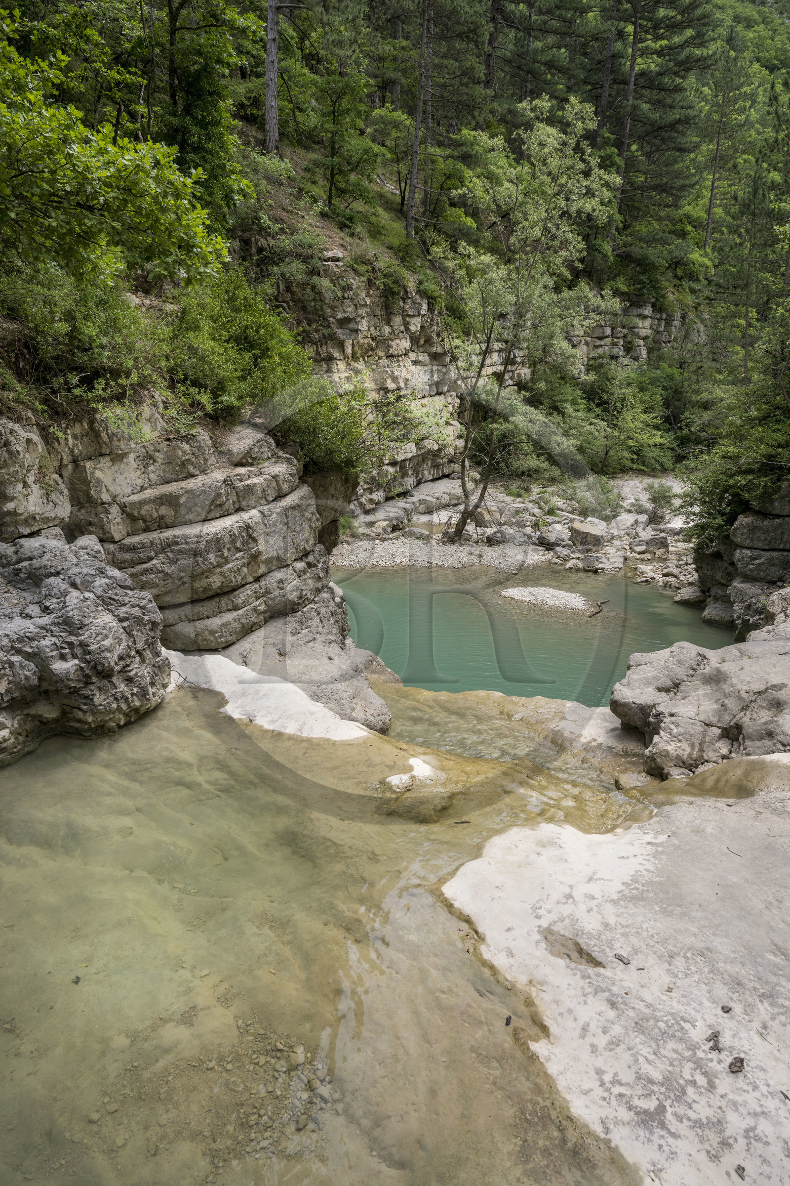 France, Drôme (26), parc naturel régional des Baronnies provençales, les gorges d'Aulan qui longent le Toulourenc