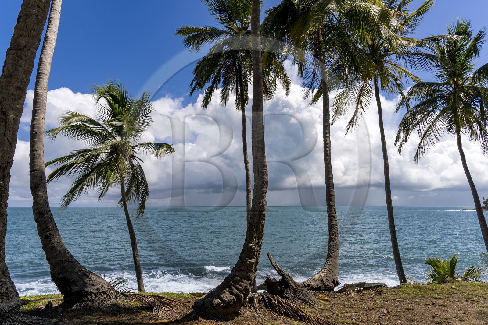 France, French Guiana, Kourou, Salvation Islands (Iles du Salut), Royal Island, arrival of a storm in the background