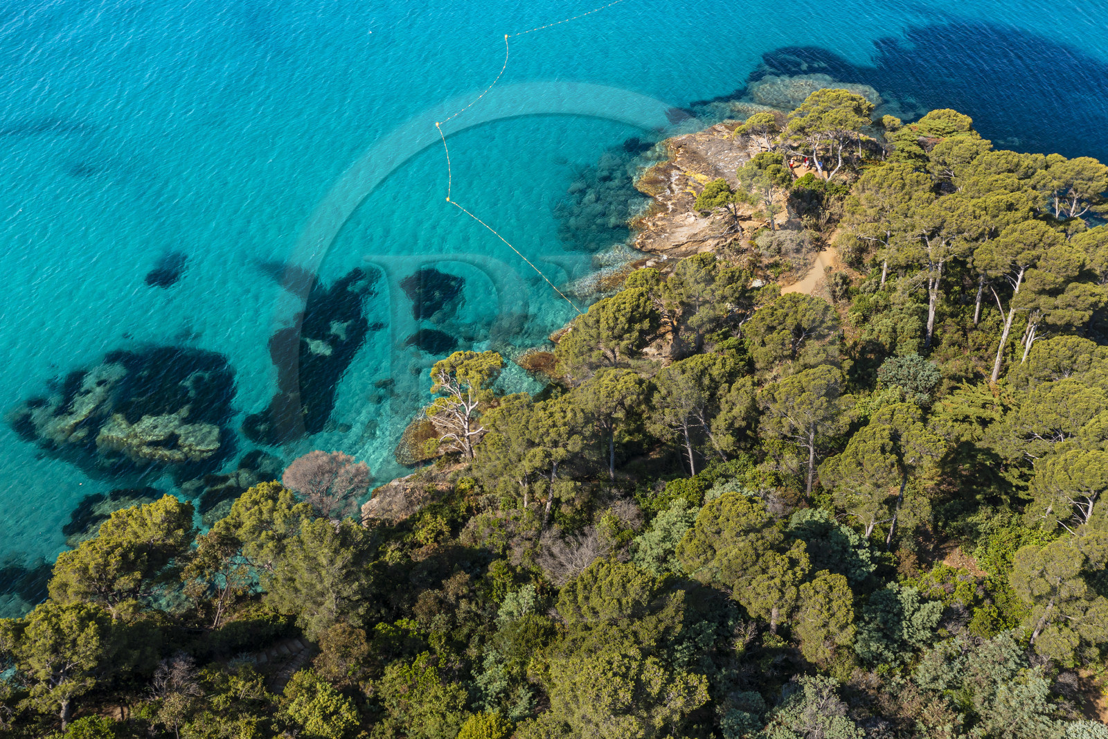 France, Var, Le Rayol Canadel sur Mer, Domaine du Rayol, Conservatoire du Littoral Estate compulsory mention, Jardin des Mediterranees designed by landscaper Gilles Clément (aerial view)