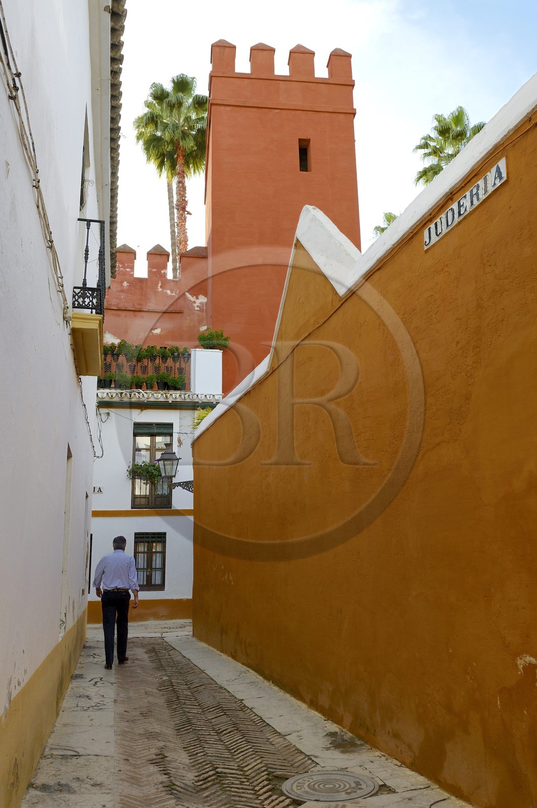 Spain, Andalusia, Seville, Santa Cruz district, the Juderia on the edge of the Alcazar