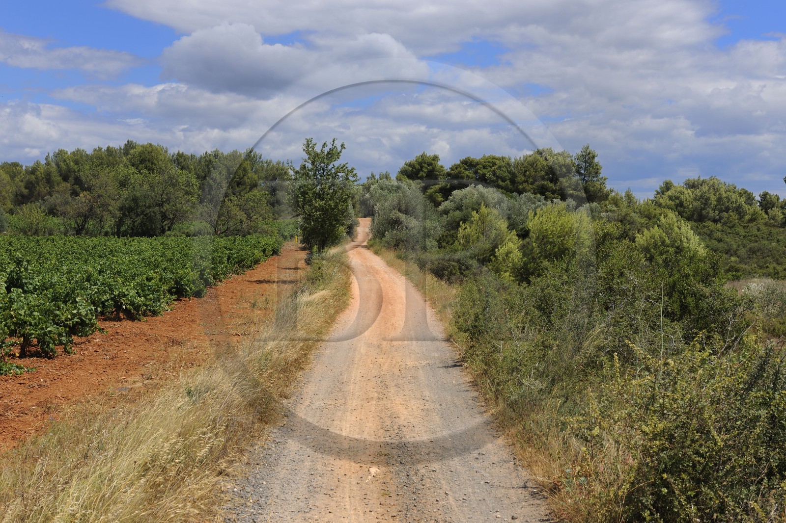 France, Hérault (34), région de Pinet, la voie Domitienne (Via Domitia), tronçon bassin de Thau, en dehors des villes c'est un chemin en terre battue sur des couches stratifiées de gravier et de cailloutis