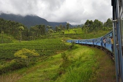 Sri Lanka, Central Province, the popular scenic train ride through the tea growing hill country between Hatton and Badulla, here between Talawakele and Great Western