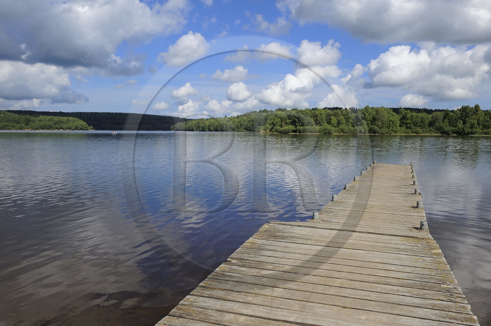 France, Nièvre (58), lac de Saint-Agnan, ponton