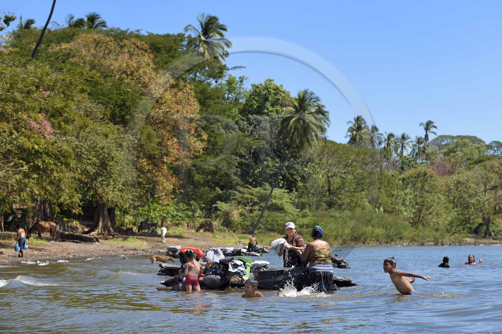 Nicaragua, Ile d'Ometepe sur le lac Nicaragua, village de Merida, femmes faisant leur lessive dans le lac