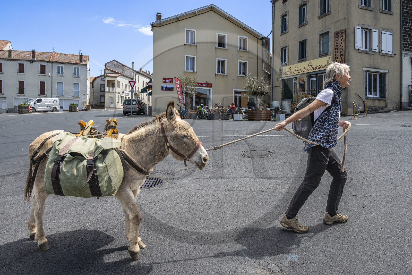 France, Haute-Loire (43), Landos, hiking with a donkey on the Robert Louis Stevenson Trail (GR 70), village crossing