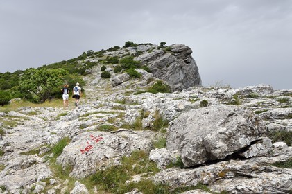 France, Var (83), Plan-d'Aups-Sainte-Baume, parc naturel régional de la Sainte-Baume, Massif de la Sainte-Baume, randonneurs au col du Saint-Pilon sur le GR 98, le Saint-Pilon en arrière plan