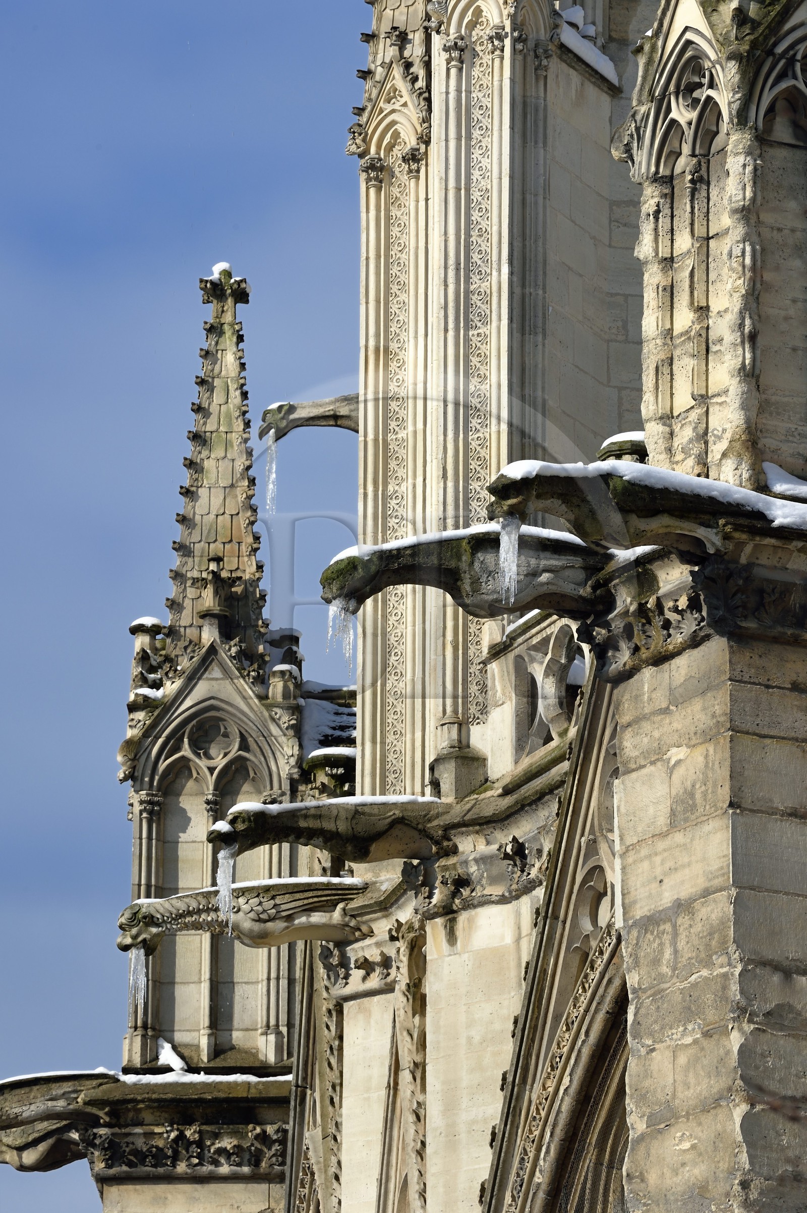 France, Paris (75), les rives de la Seine, classées Patrimoine Mondial de l'UNESCO, la Cathédrale Notre-Dame sous la neige sur l'Ile de la Cité, gargouilles