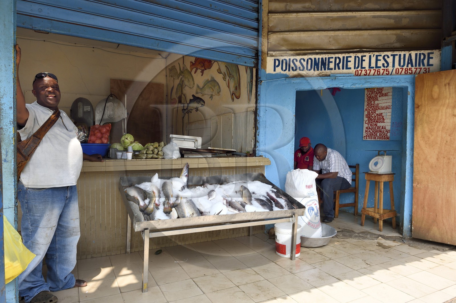Gabon, Libreville, Port Mole, étal de poisson
