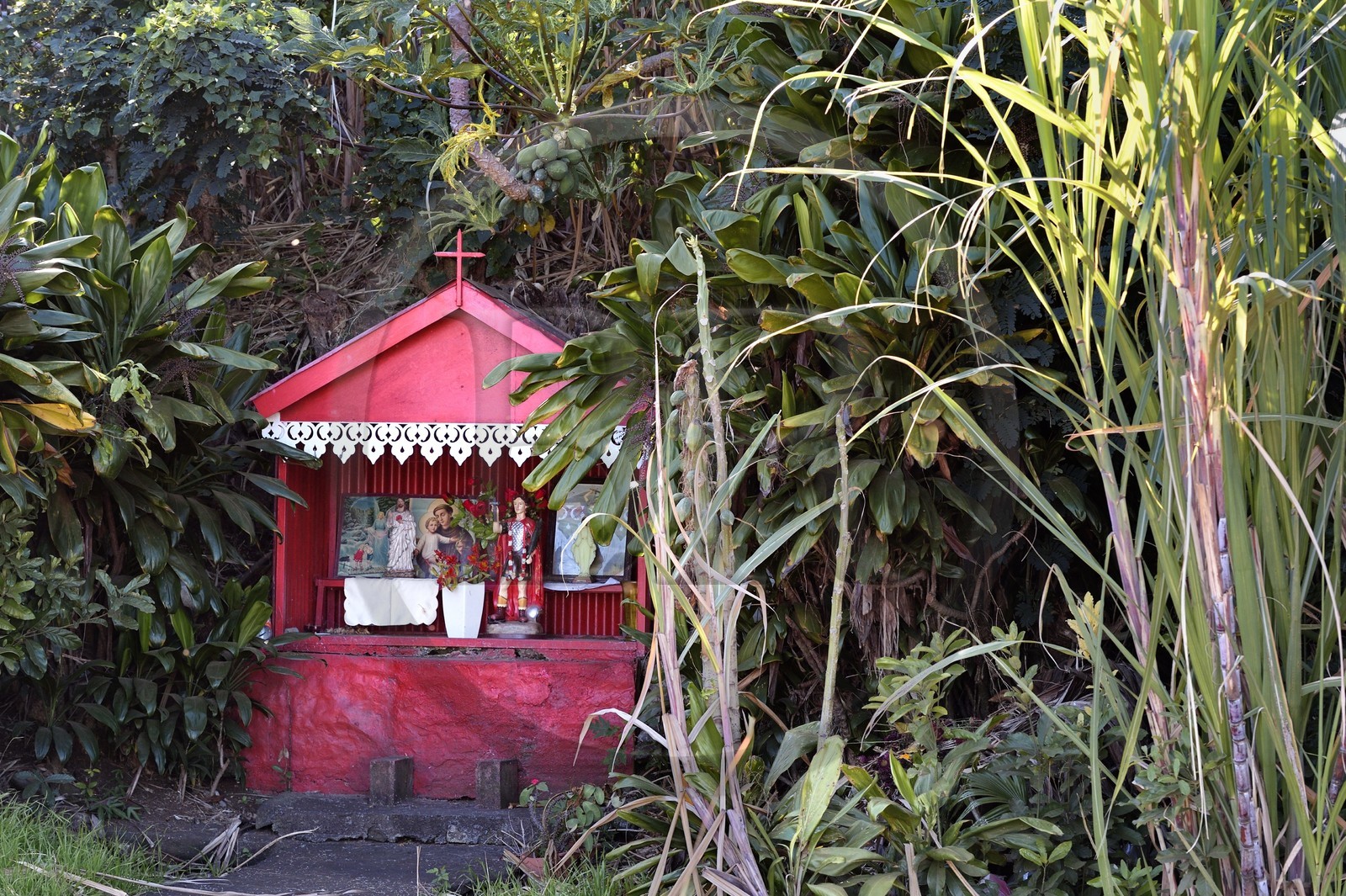 France, Ile de la Reunion, côte sud, Petite-Ile, oratoire dédiée à Saint Expedit en bordure d'un champ de canne à sucre