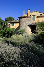 France, Var, Provence Verte (Green Provence), Bras village next to Saint Maximin, Le Peyrourier Bed & Breakfast, une campagne en Provence