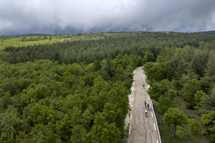 France, Vaucluse (84), Parc Naturel Régional du Mont Ventoux, Bedoin, ascension à vélo du Mont Ventoux par la route D974 sur le versant sud, route à travers une épaisse forêt de chênes et de pins à crochets(vue aérienne)