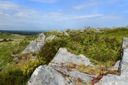France, Finistère (29), parc naturel régional d'Armorique, Plounéour-Ménez, Roc-Trevezel et les Monts d'Arrée