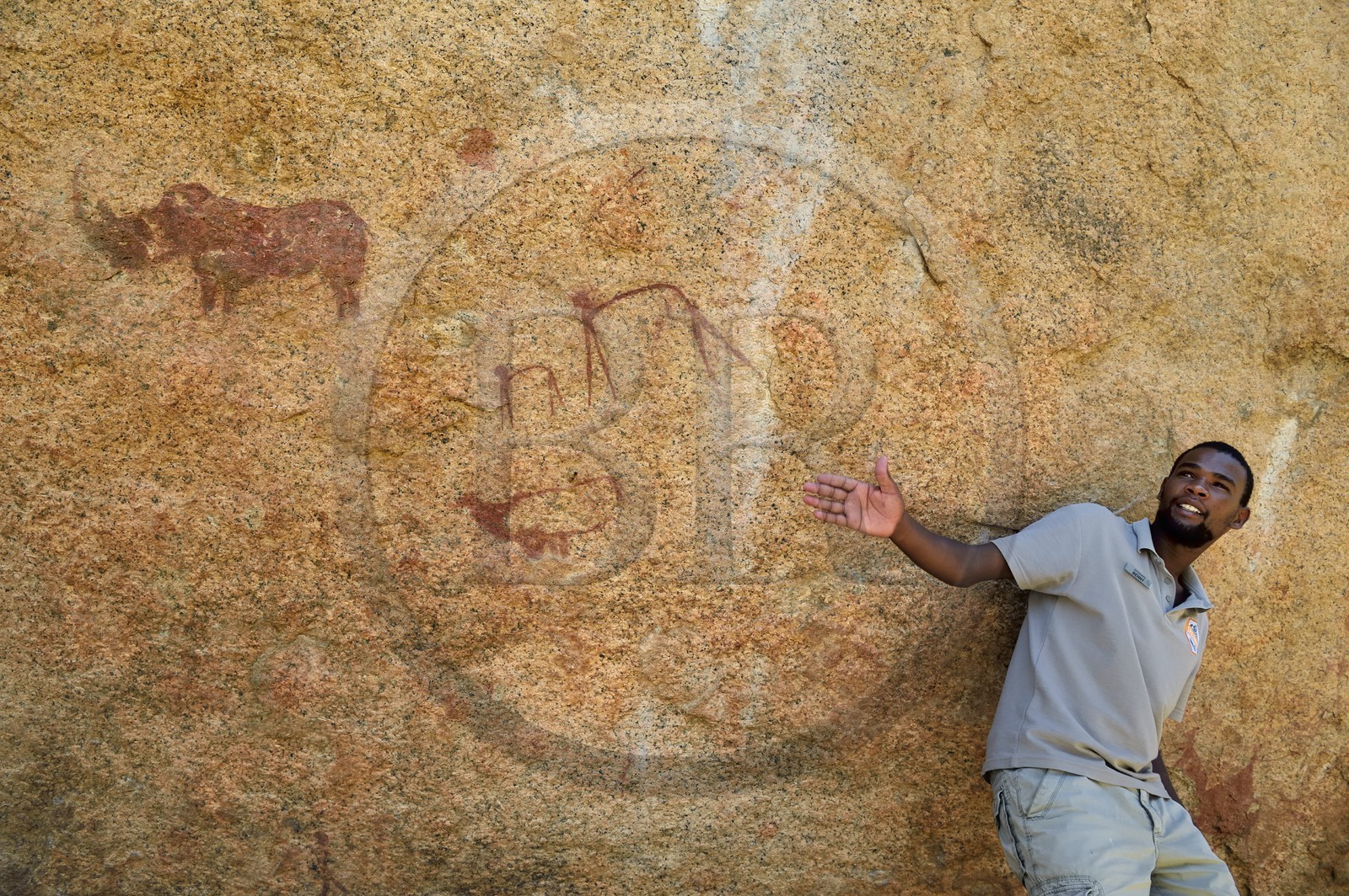 Namibia, Erongo region, Damaraland, the Pondok Mountains at the east of Spitzkoppe in the Namib Desert, rock paintings under a granitic overhang called the Bushman's Paradise believed to have been made between 4,400 BCE and 100 AD, Benny the local Damara guide shows a rhinoceros and human figures