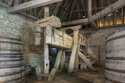 France, Cote d'Or, cultural Landscape of the climates of Burgundy listed as World Heritage by UNESCO, Route des Grands Crus (road of Vintage Wines), vineyard of the Côte de Nuits, Vougeot, the Chateau of Clos de Vougeot, the 15th century winery, lever grape press aux dimensions spectaculaires