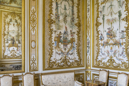 France, Oise (60), Chantilly, le chateau de Chantilly, la Grande Singerie