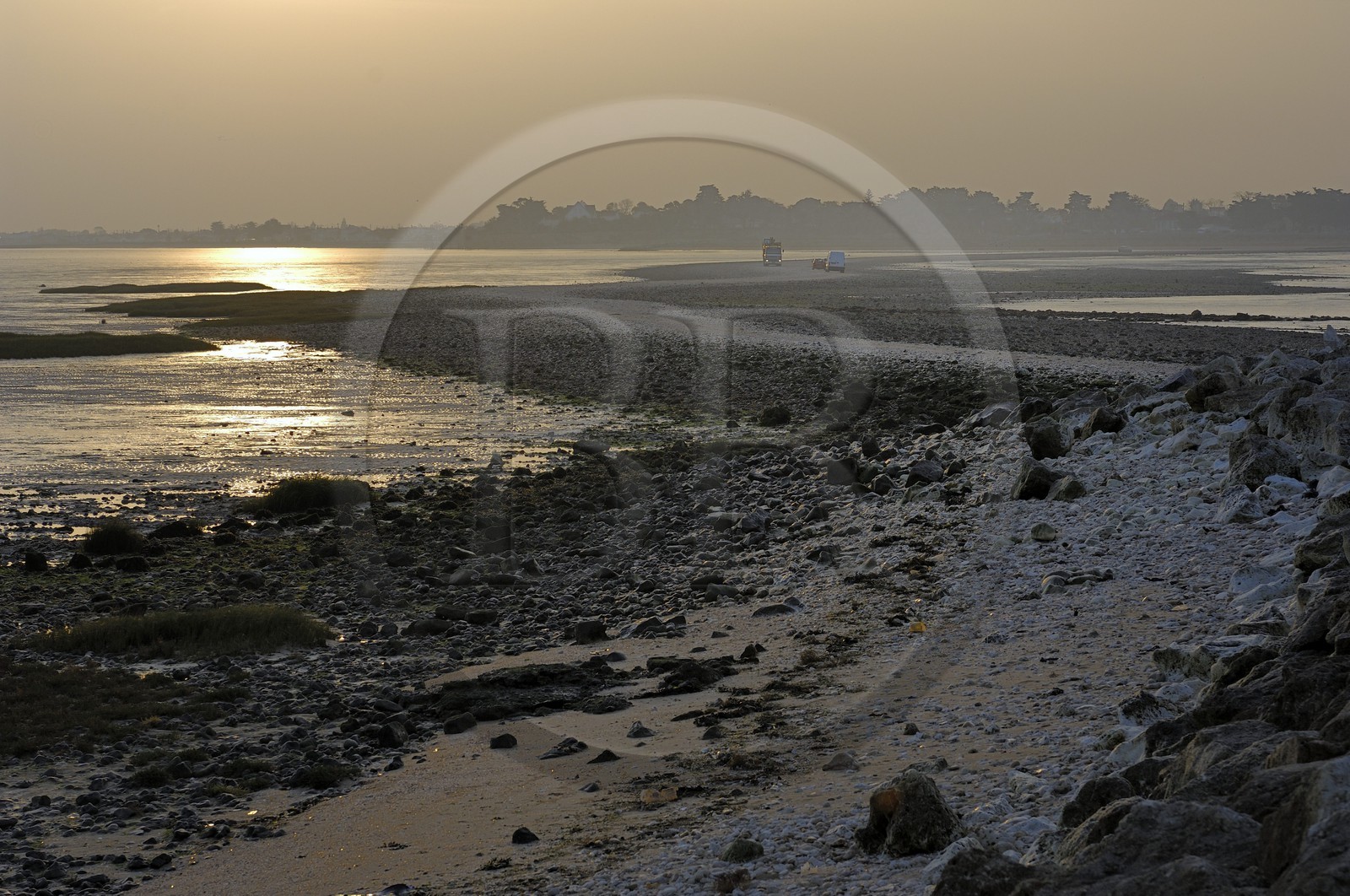 France, Charente-Maritime (17), Ile Madame