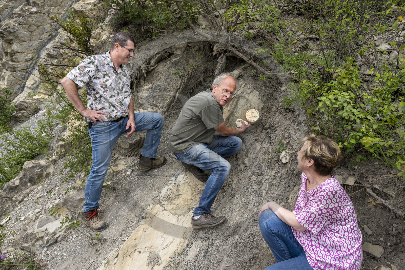 France, Drôme (26), parc naturel régional des Baronnies provençales, La Charce, le site géologique du Serre de l'Ane, couches géologiques calcaires-marnes de 132 millions d’années, pose d'un Clou d'Or, point stratotypique mondial (PSM) et repère posé sur la limite entre deux étages géologiques