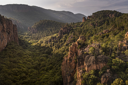 France, Var (83), entre Bagnols-en-Forêt et Roquebrune-sur-Argens, les Gorges du Blavet (vue aérienne)