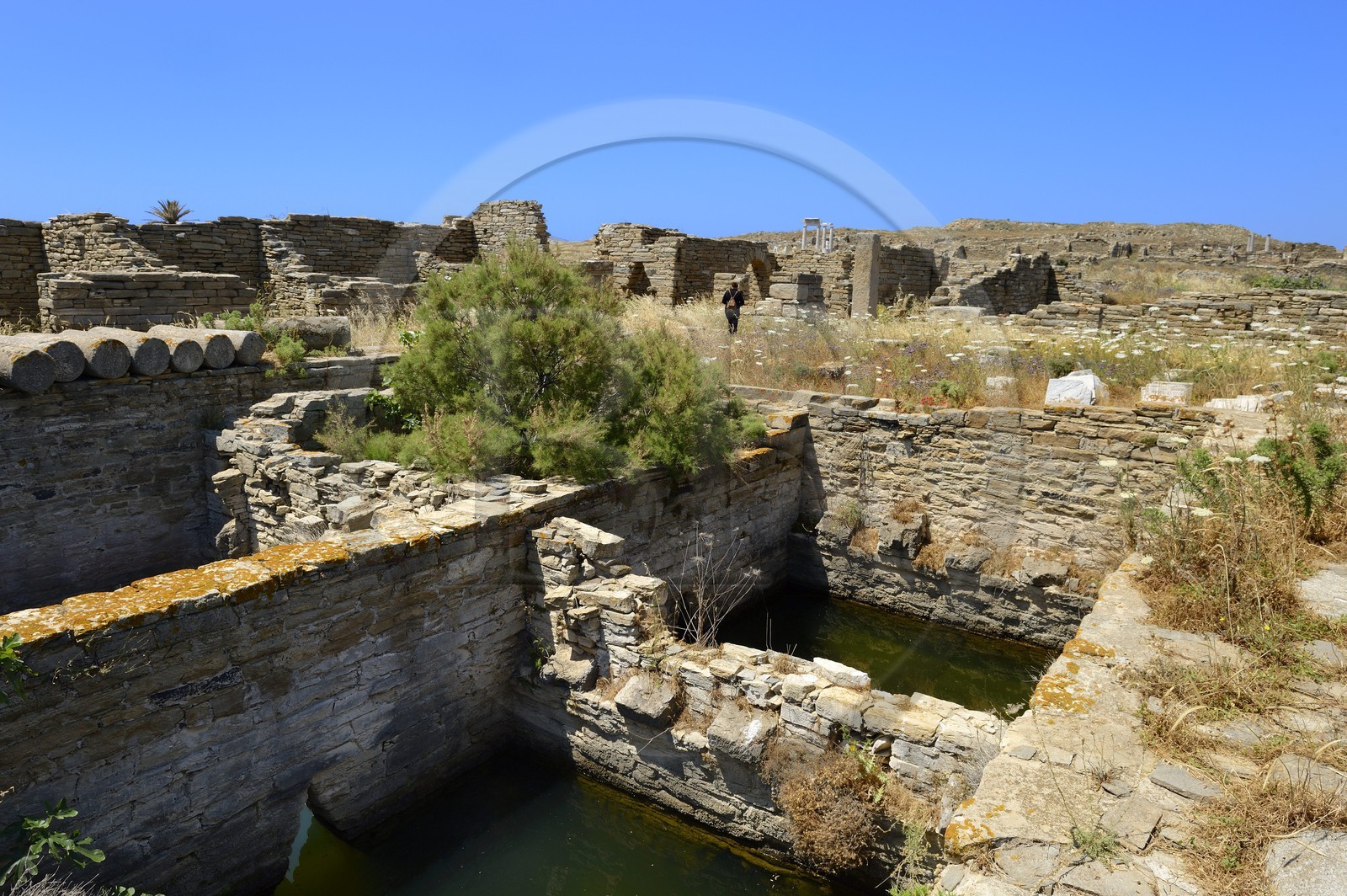 Grèce, île de Delos, classée Patrimoine Mondial de l'UNESCO, site archéologique de Délos, sanctuaire d'Apollon, la plus grande cité antique de la mer Egée, le Palestre de granit
