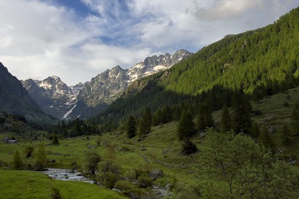 France, Alpes-Maritimes (06), parc national du Mercantour, Haute-Vésubie, vallon de la Gordolasque