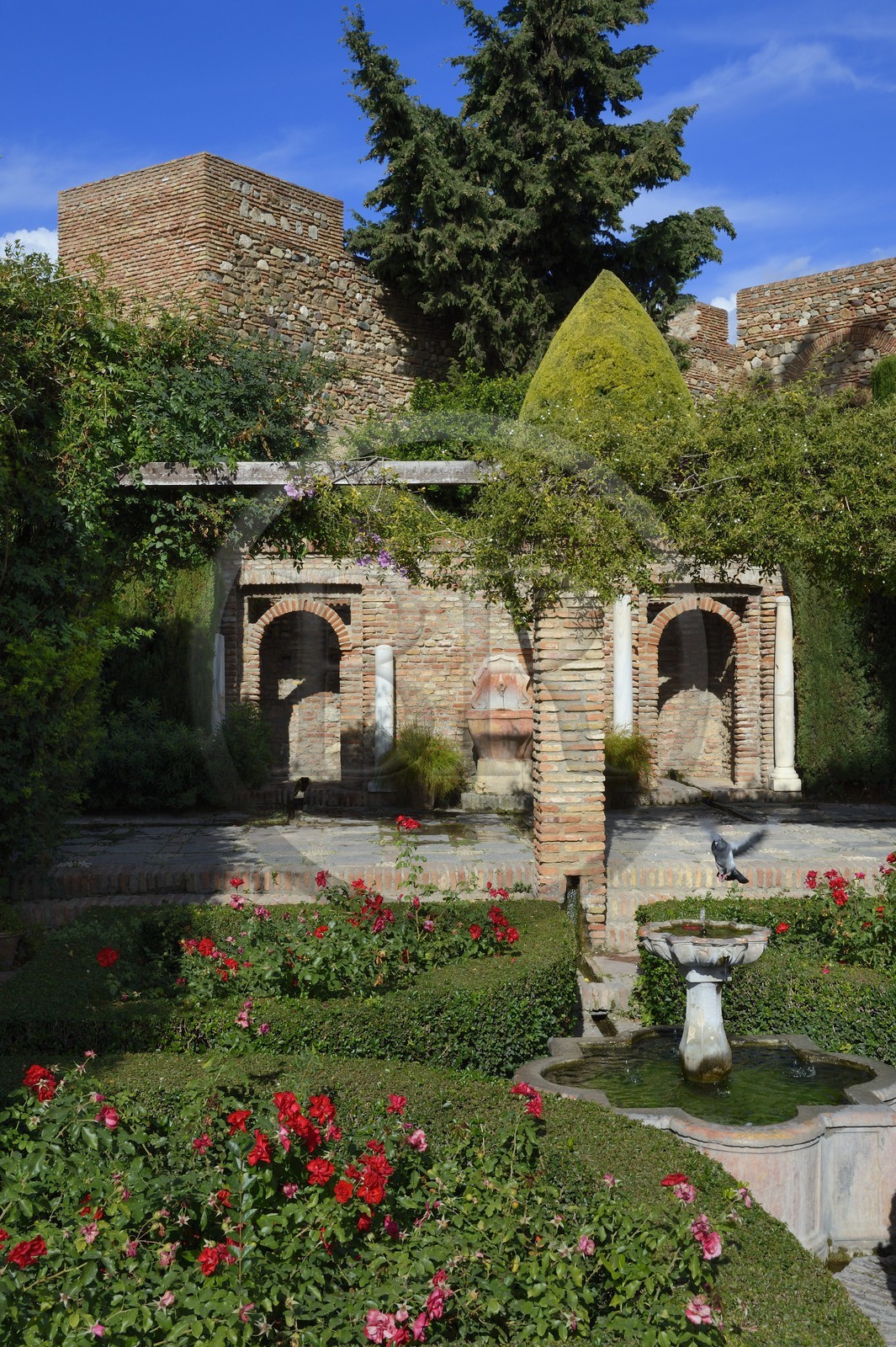 Espagne, Andalousie, Malaga, la Alcazaba, patio de Armas